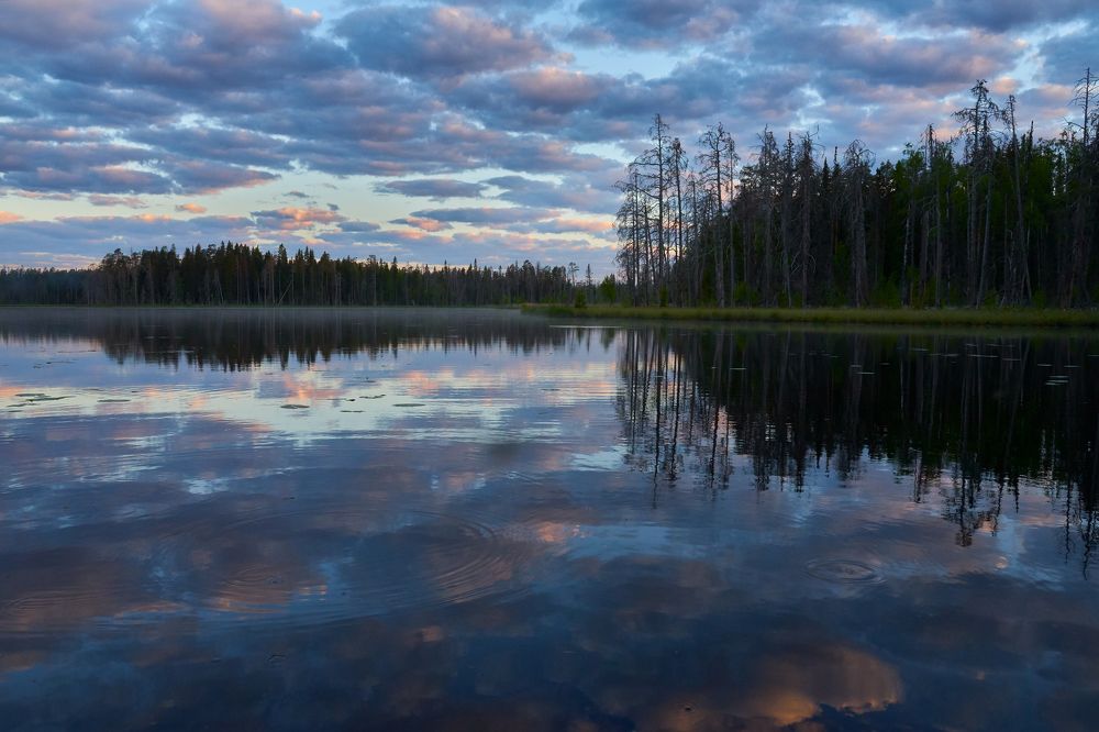 Photograph by Александр Карпинец