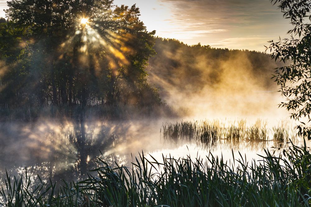 Луч солнца золотой