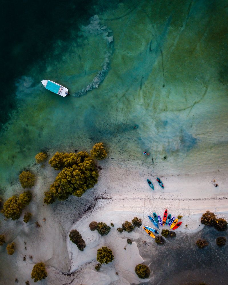 Exploring the mangroves