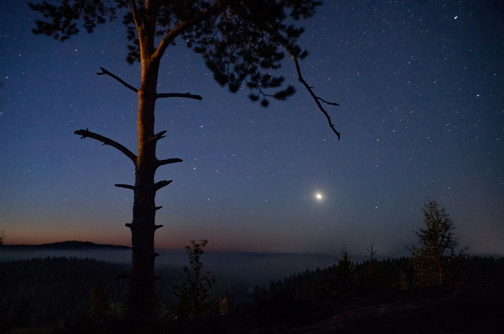 Звездный шум