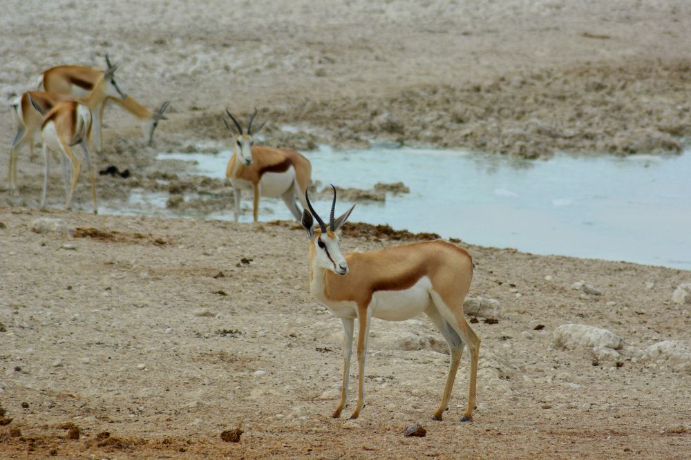 Photograph by Анатолий Орлов