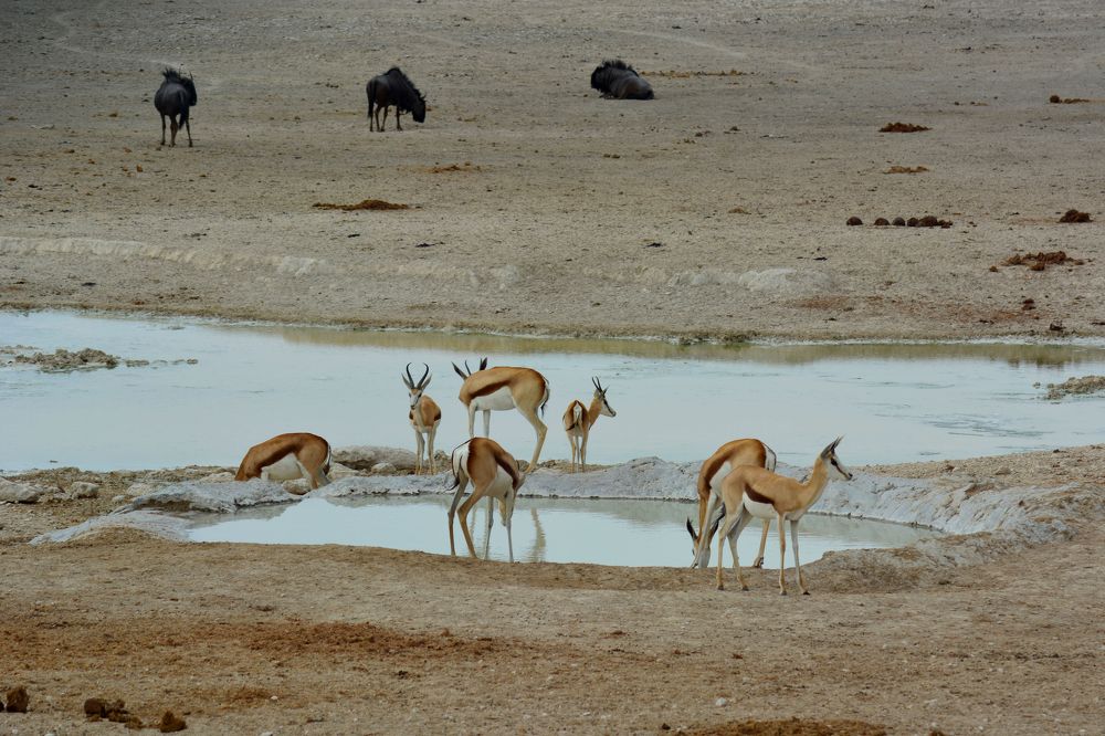 Photograph by Анатолий Орлов