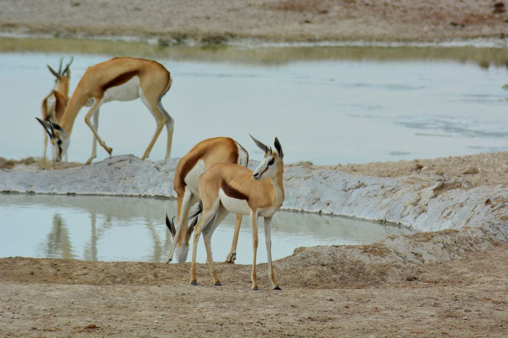 Photograph by Анатолий Орлов