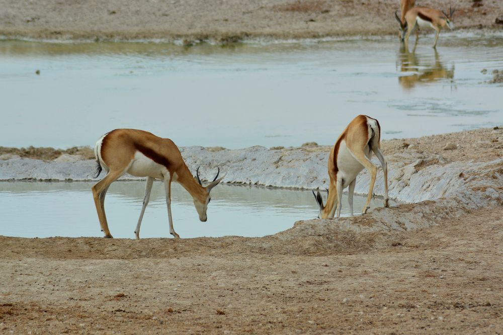 Photograph by Анатолий Орлов