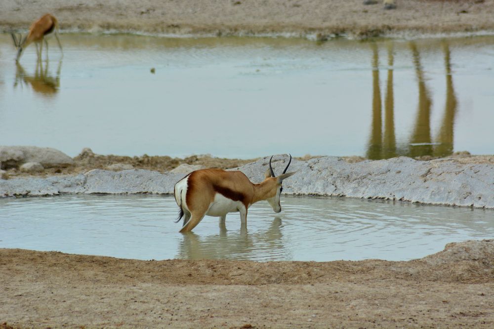 Photograph by Анатолий Орлов