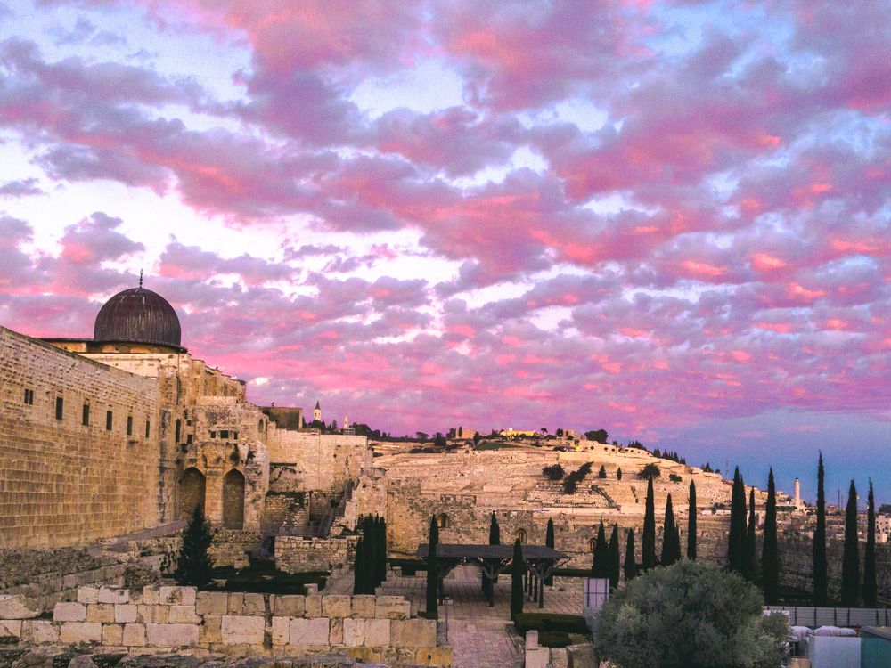 Photograph by Михаил Заброцкий