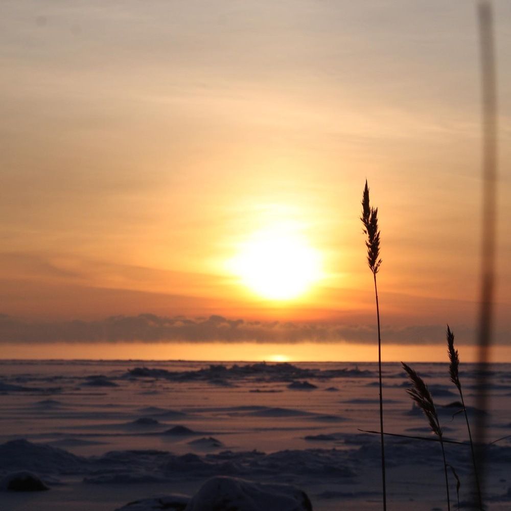 Sunset by the Gulf of Finland