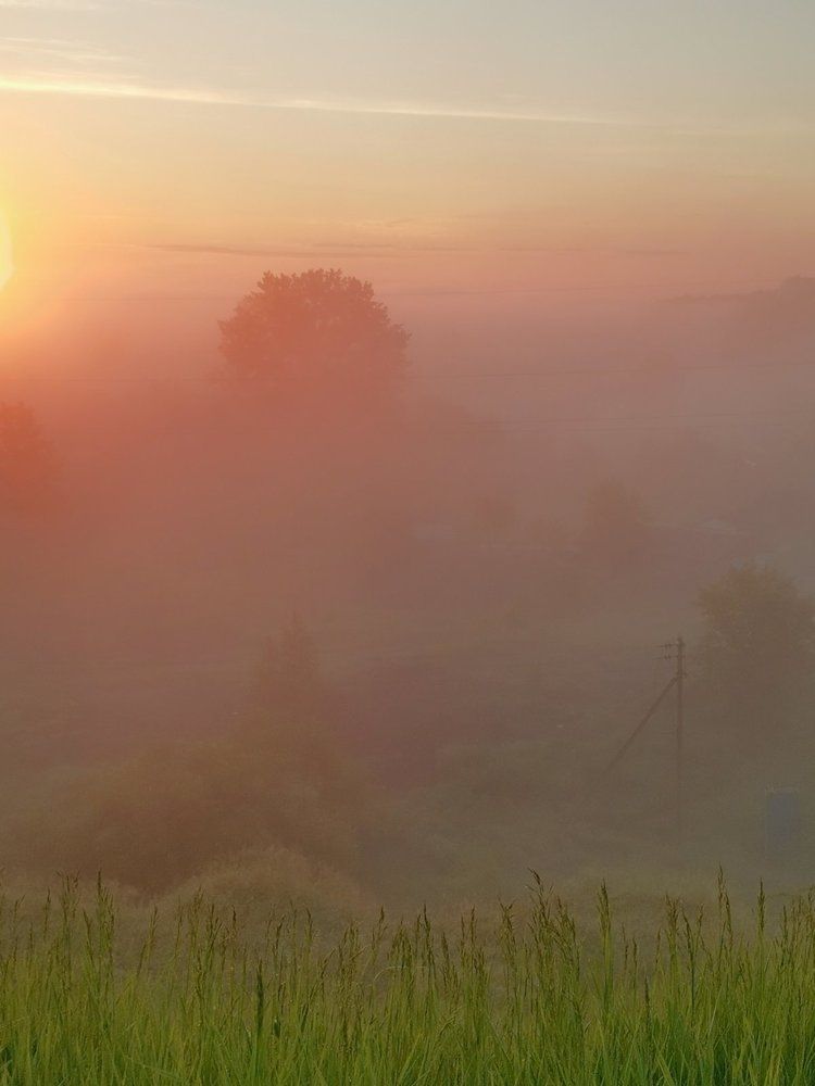 Летние туманы