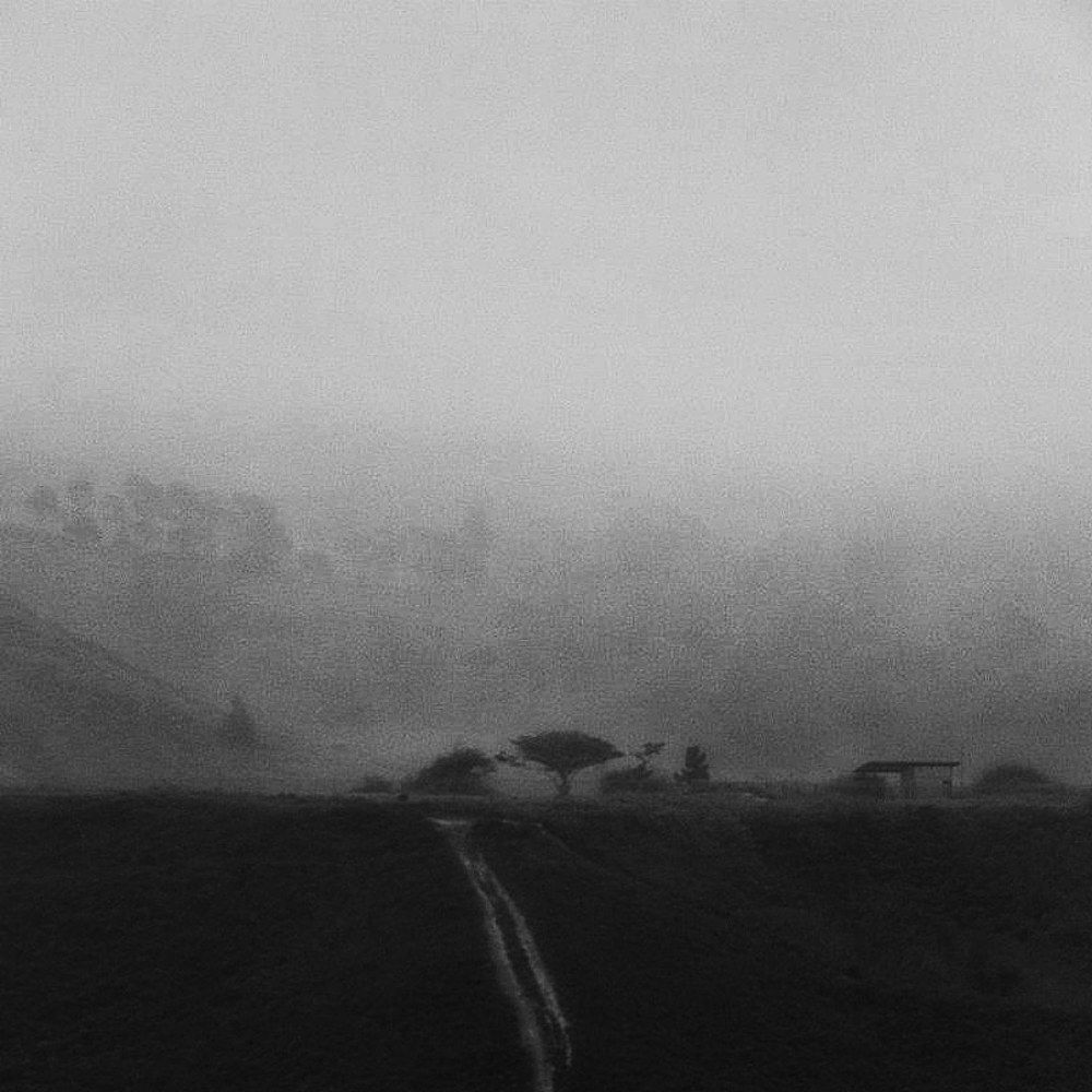 Photograph by Pietro Granieri