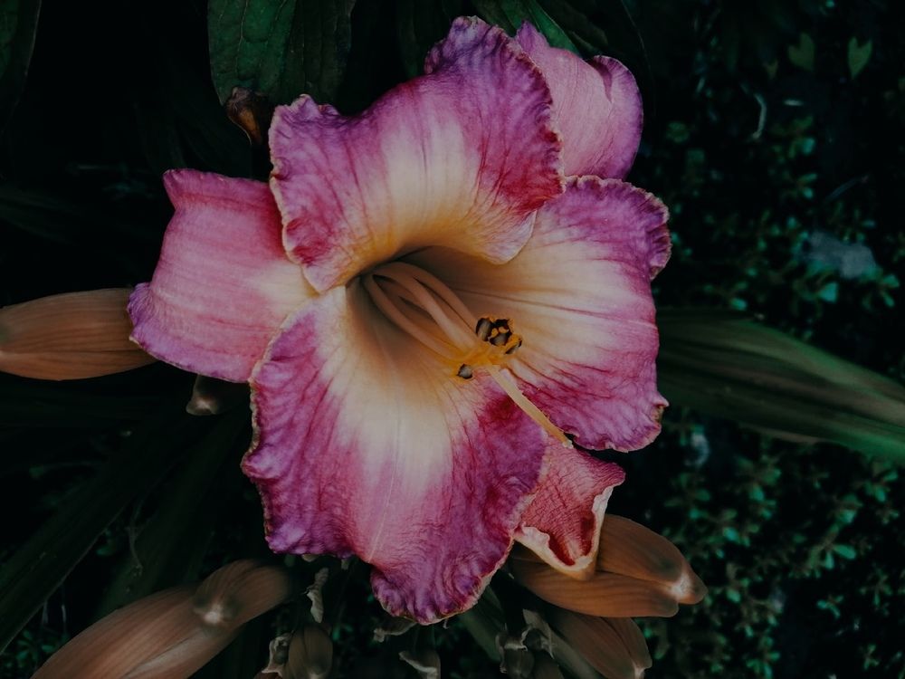 Photograph by Анжелика Короткова