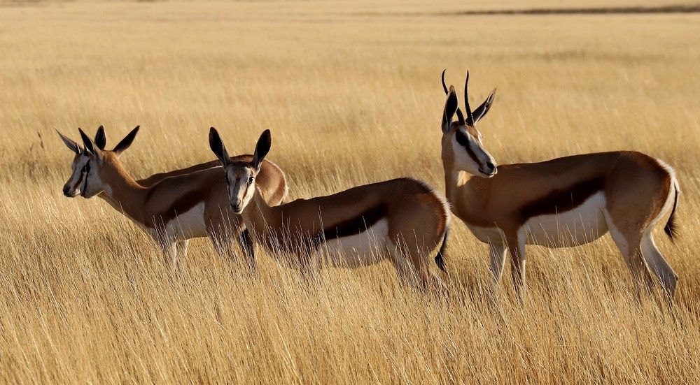 Photograph by Диана Жагрина