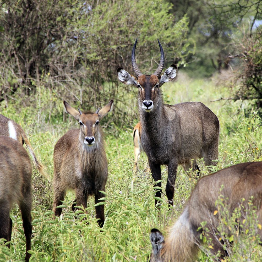 Photograph by Олег Банковский