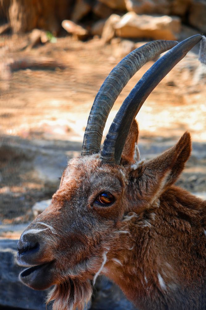 Photograph by Andrea Tijanic