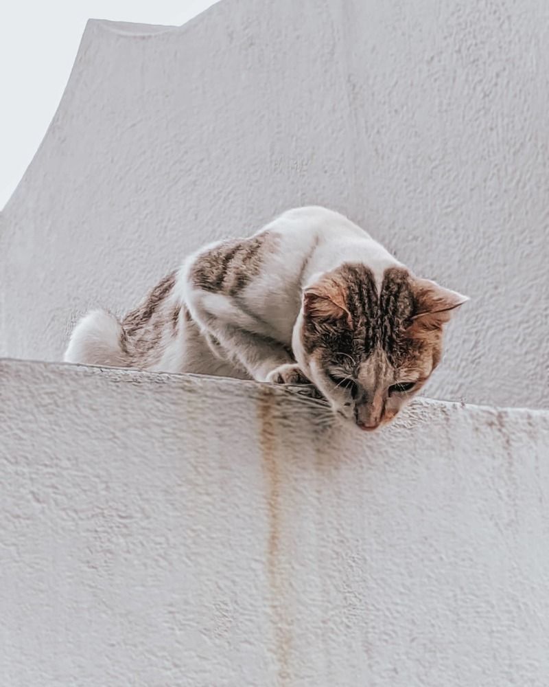 Photograph by Ayan Maiti