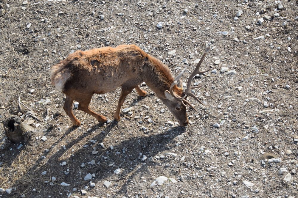 Photograph by Наталья Вялых