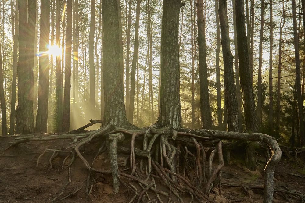 Photograph by Татьяна Полянская