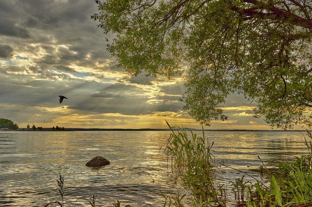 Photograph by Татьяна Полянская