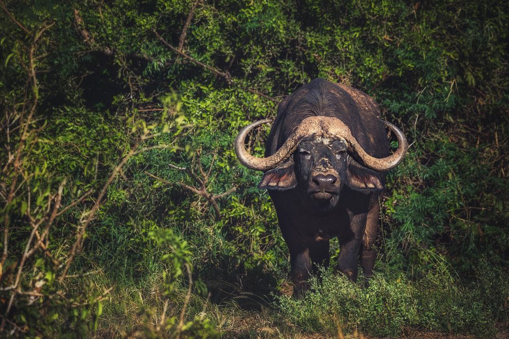 Photograph by Наталия Деркач