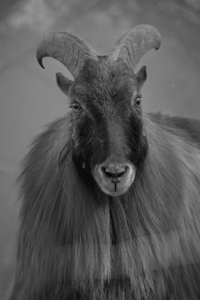 Photograph by Nina Znidersic