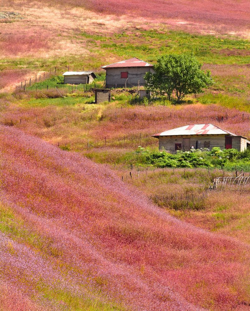 Mountain of Imagination