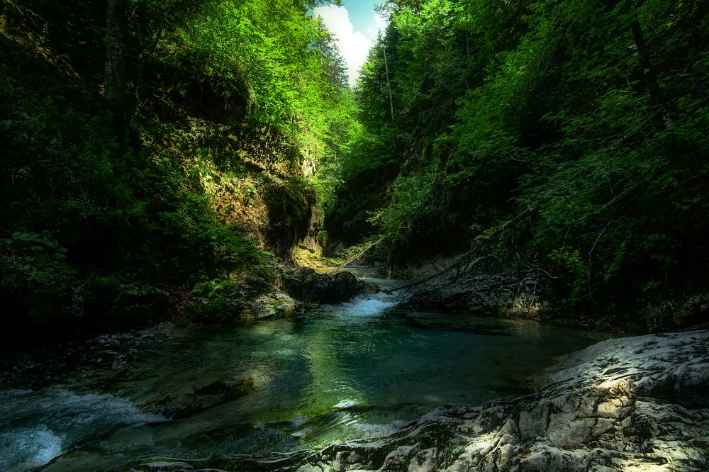 Photograph by Dino Sirica