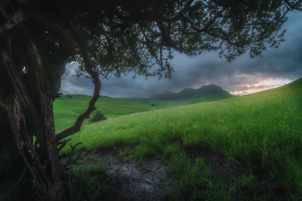 Photograph by Александр Орнатский