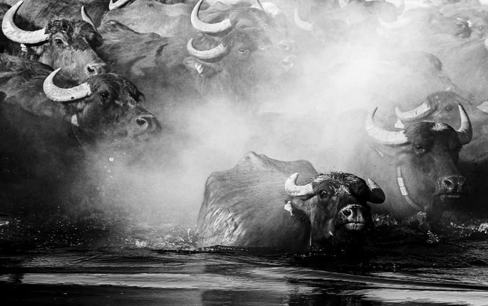 Фотография автора Gılcan Mete Delibay