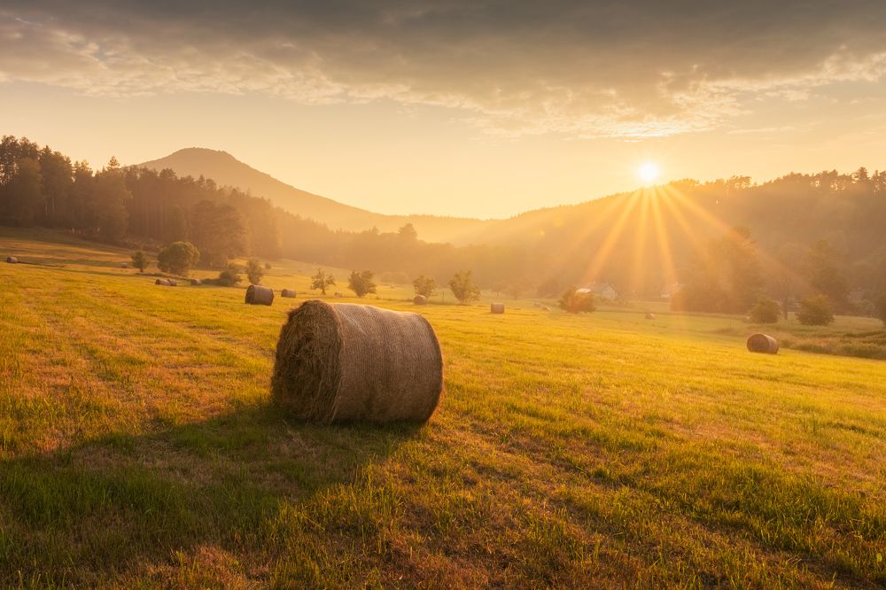 Photograph by Milan Chudoba