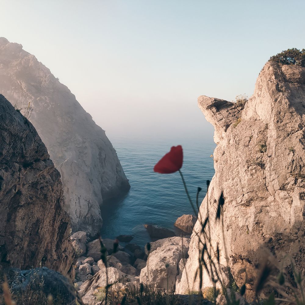 Photograph by Антон Щелкунов