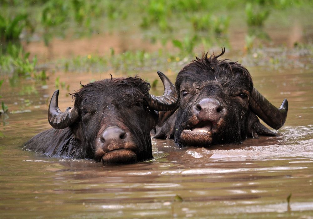 Photograph by Юрий Яковлев