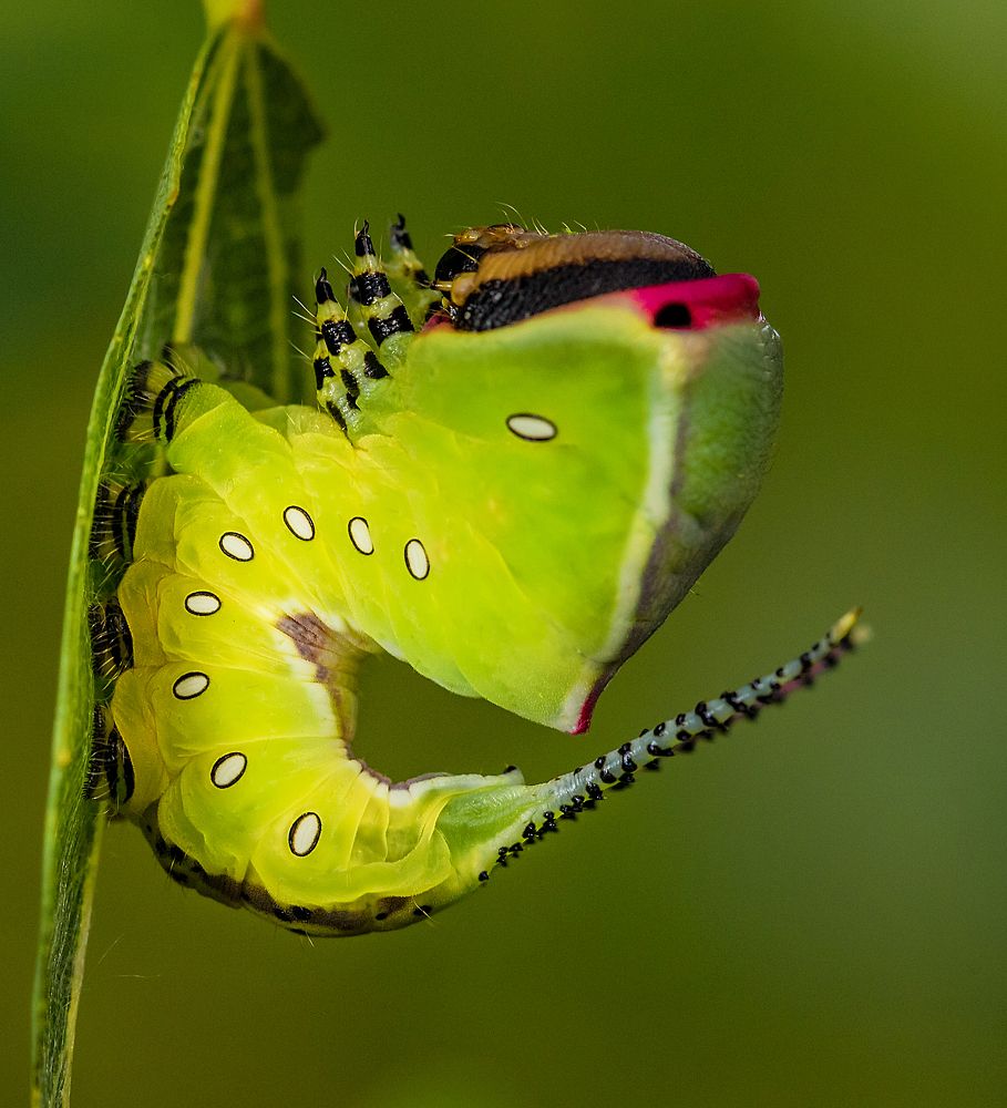 Photograph by Александр Есликов