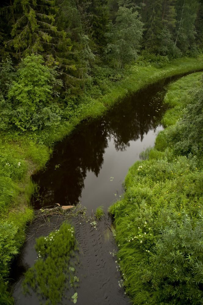 Photograph by Tatiana Troitskaya