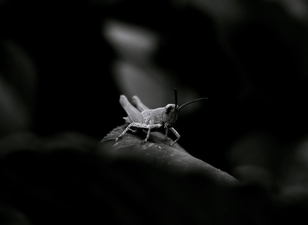 Photograph by Анастасия Бовкунова