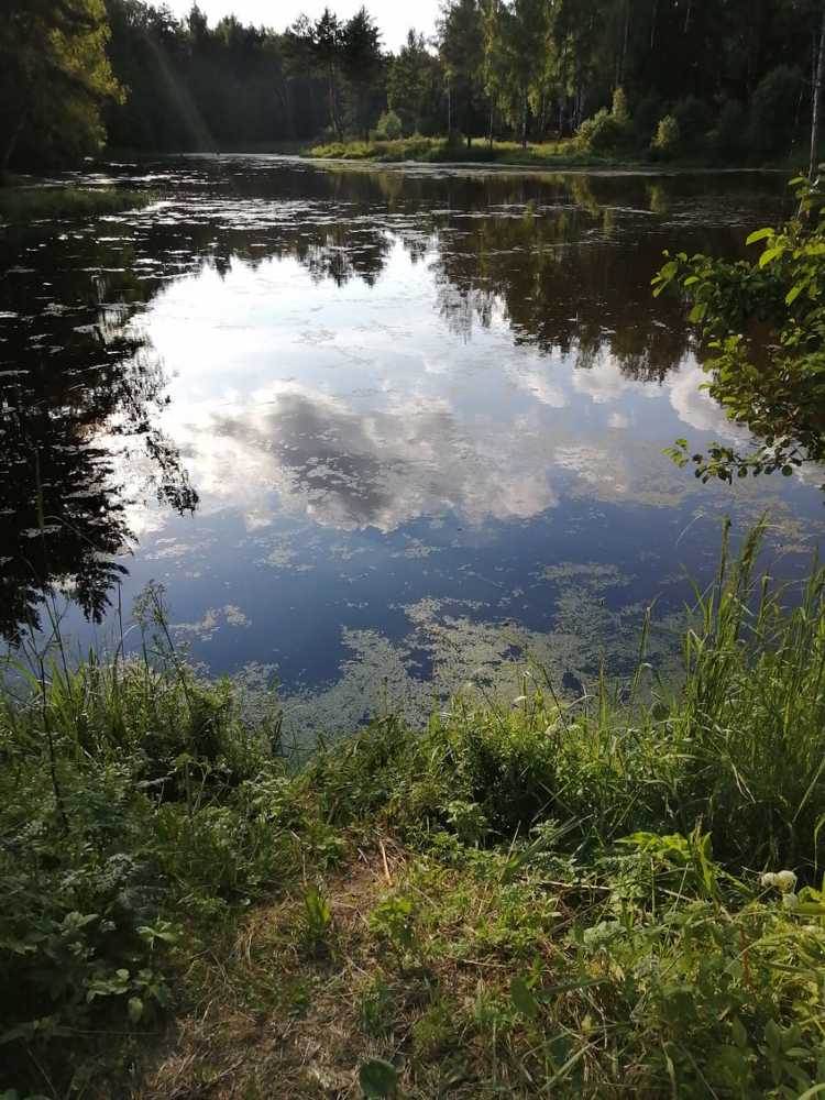 Photograph by Светлана Смердова