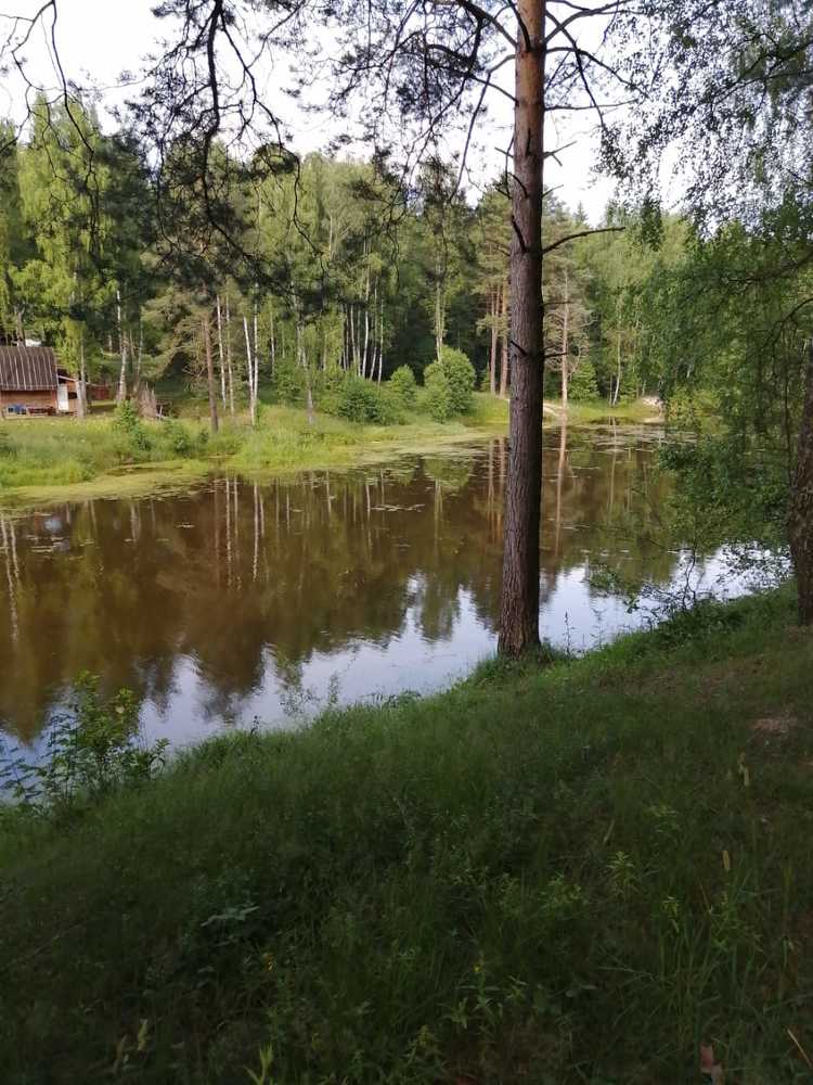 Photograph by Светлана Смердова