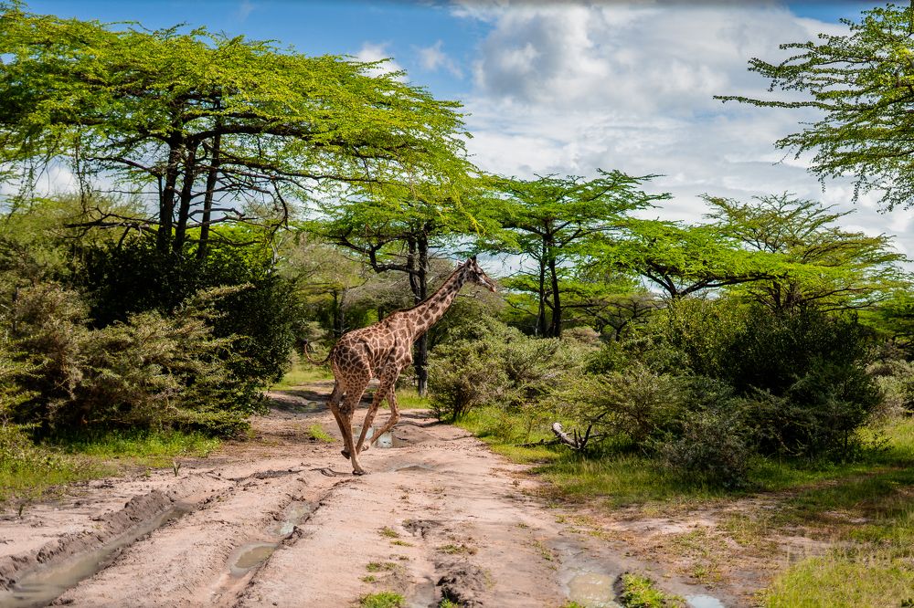 Photograph by Анна Силютина