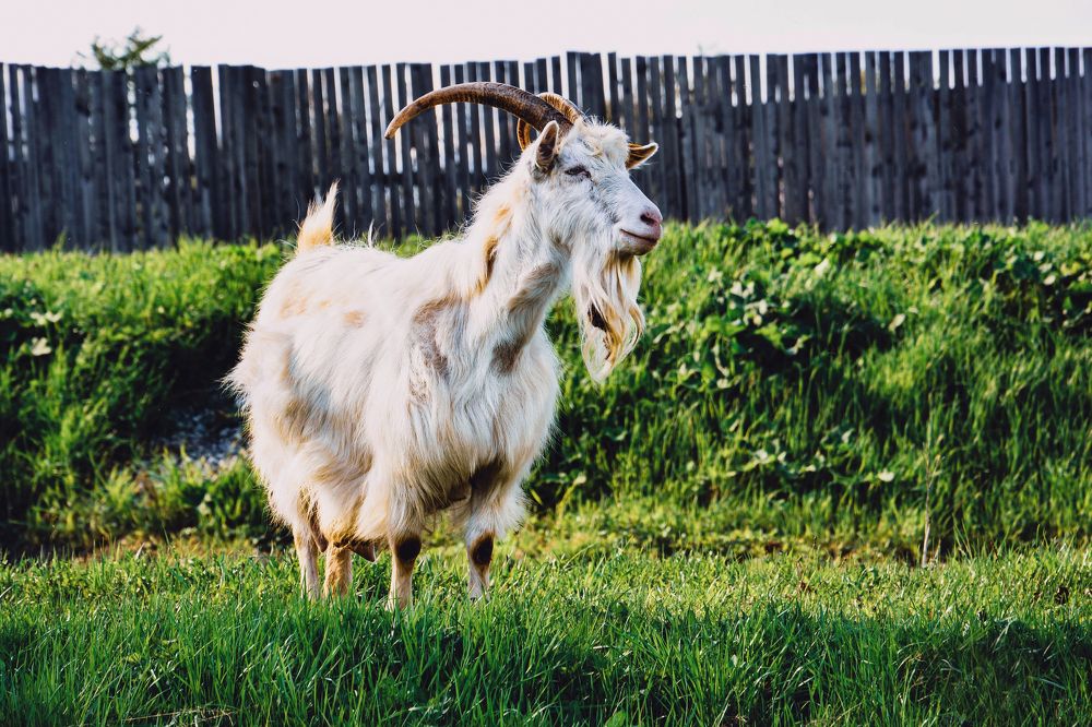 Photograph by Светлана Перминова