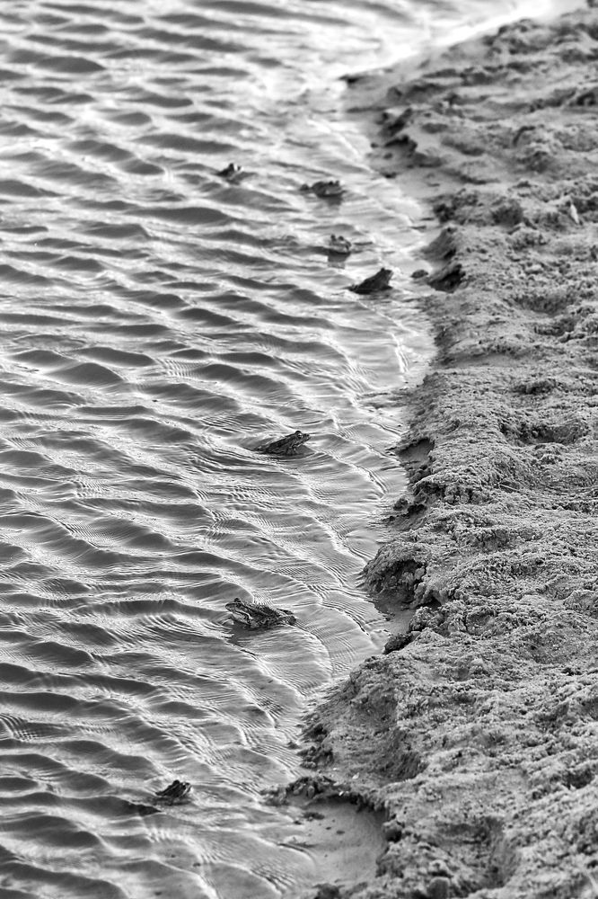 Photograph by Агарков Алексей