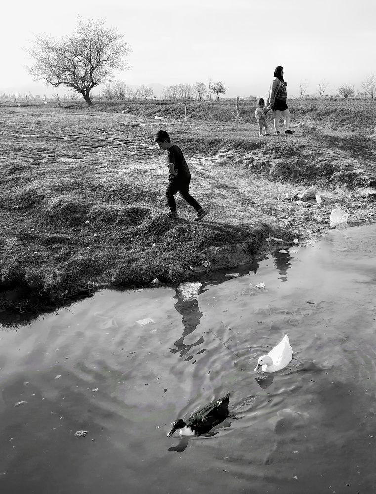 Photograph by Mohamadreza Jalilzadeh