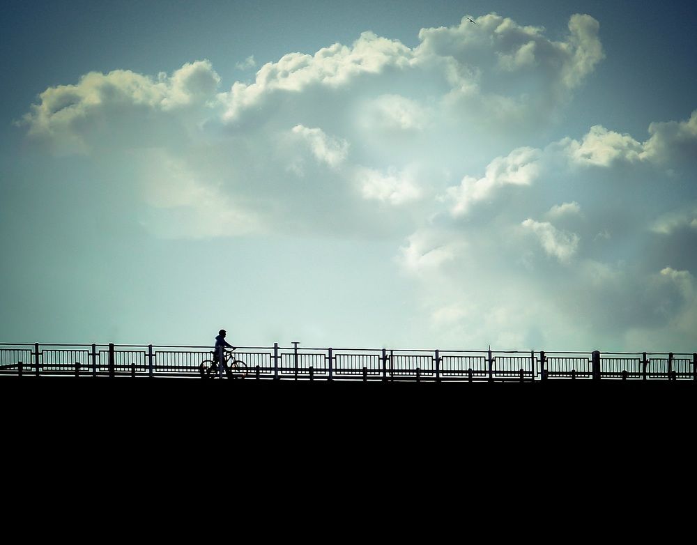 Фотография автора Z Fatemi