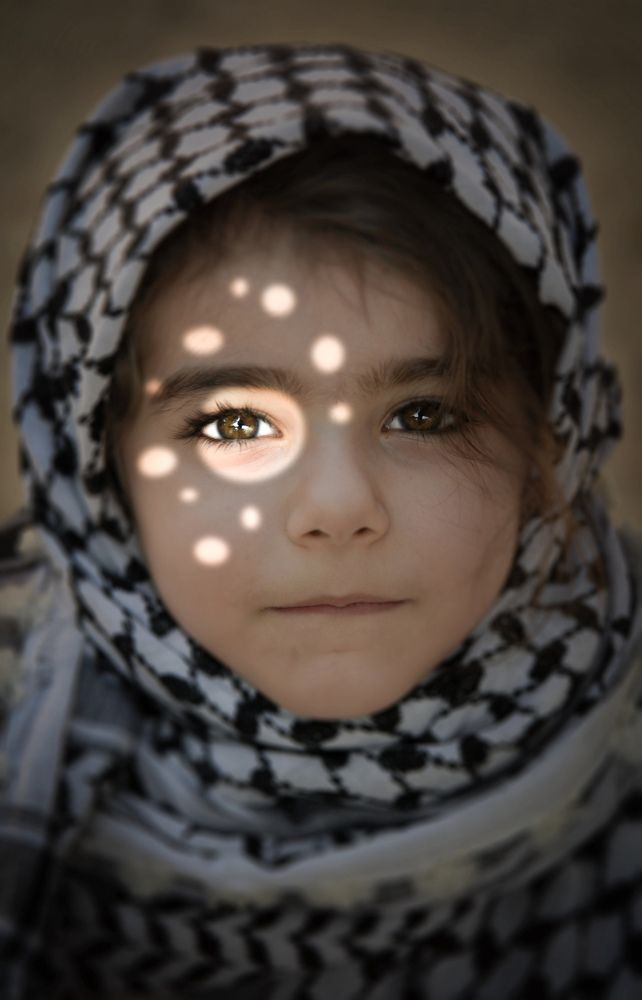 Фотография автора Z Fatemi