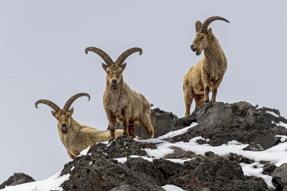 Фотография автора Константин Кукушкин
