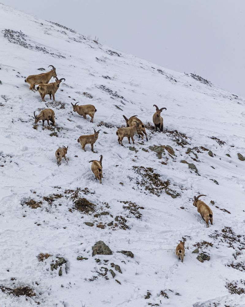 Photograph by Константин Кукушкин