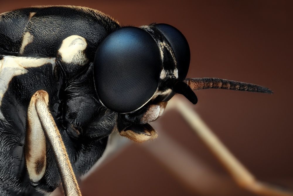 Photograph by Роман Фадеев