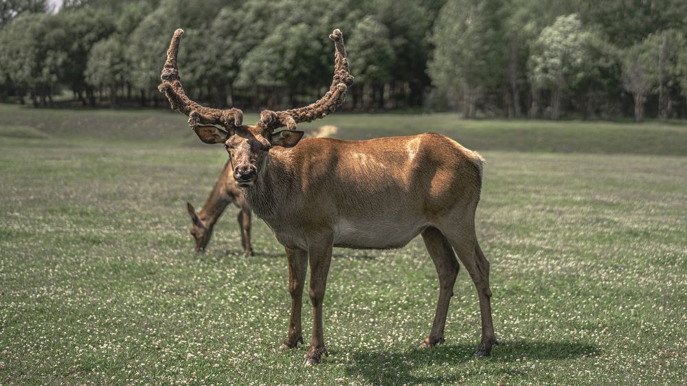 Photograph by Сергей Танков