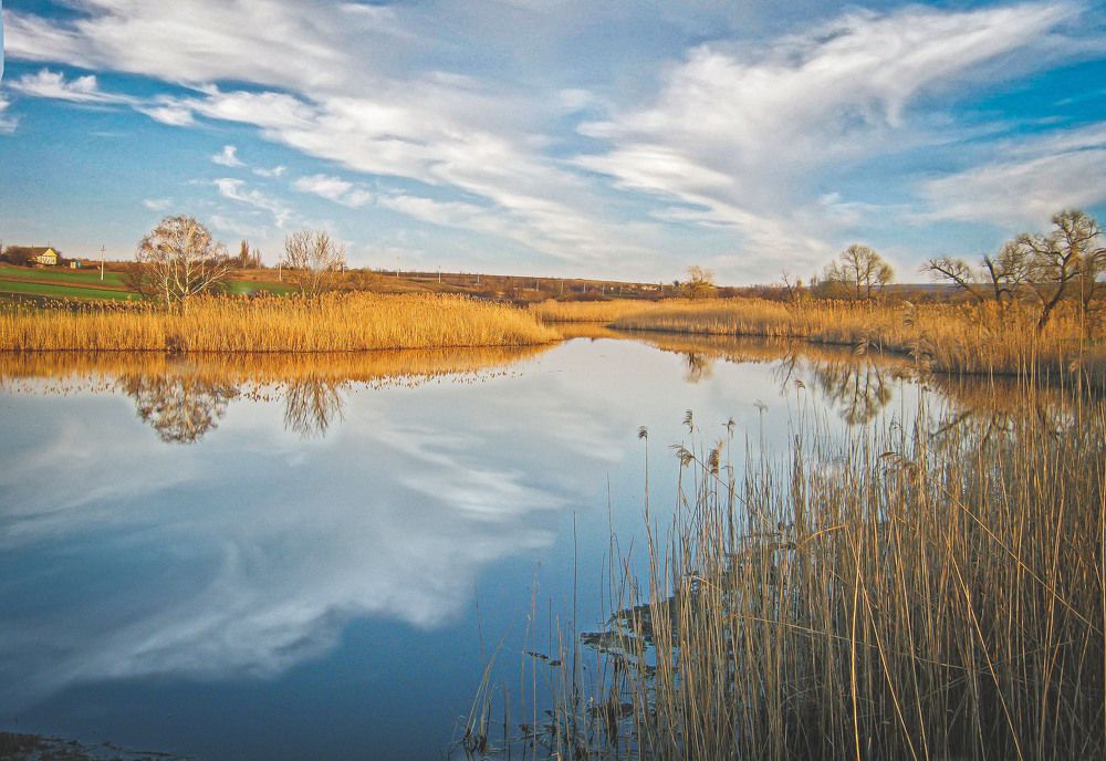Photograph by Наталья Исиченко