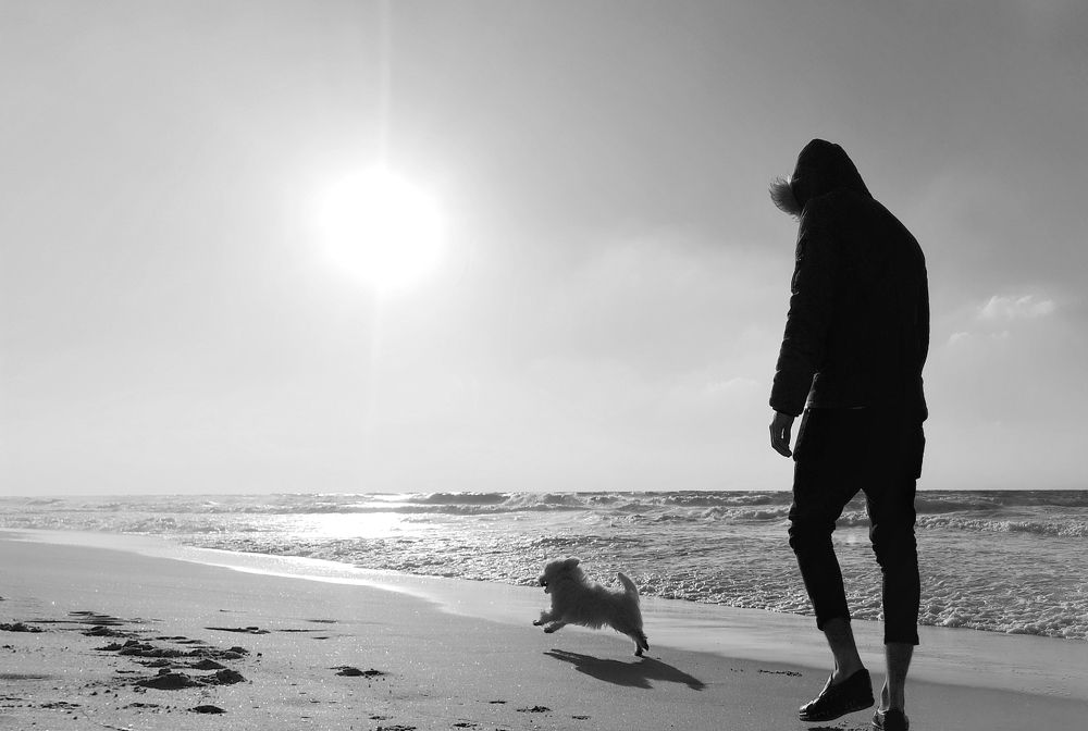 Photograph by Arandas Majd