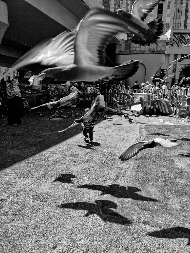 Photograph by Arandas Majd