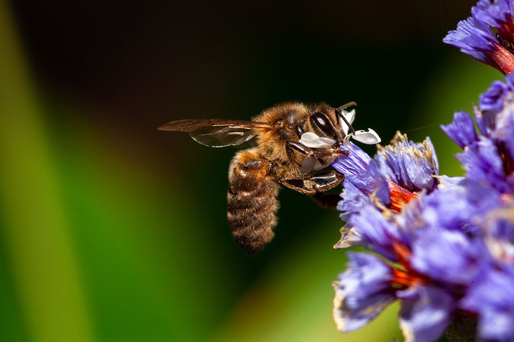 Photograph by Jose Luis Mendez Fernandez