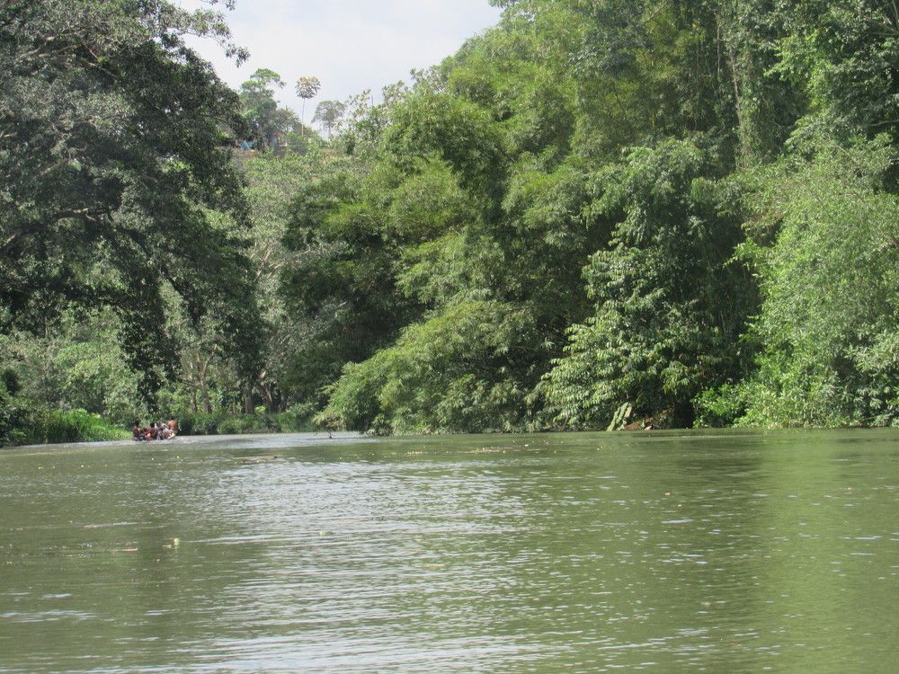 Photograph by Willian Izzi